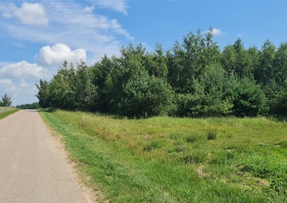 działka na sprzedaż - Sochocin, Kołoząb