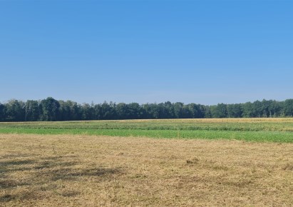 działka na sprzedaż - Zakroczym (gw), Zaręby