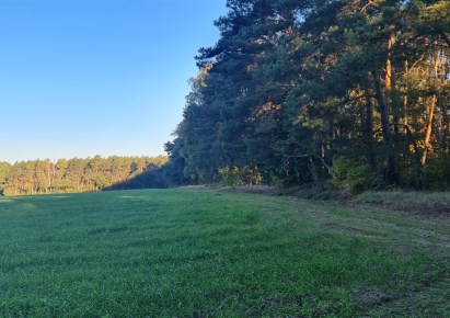 działka na sprzedaż - Zakroczym (gw), Zaręby