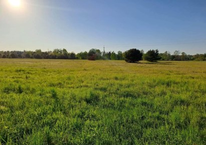 działka na sprzedaż - Leoncin, Nowiny