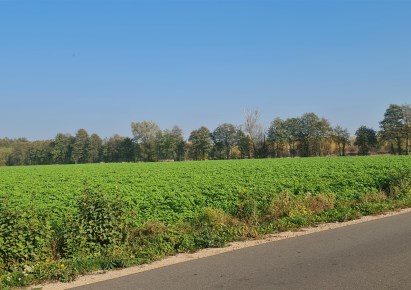 działka na sprzedaż - Płońsk (gw), Poczernin