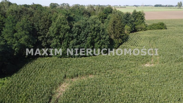 integracja@maxim-nieruchomosci.pl_zs_MXM-GS-431_9