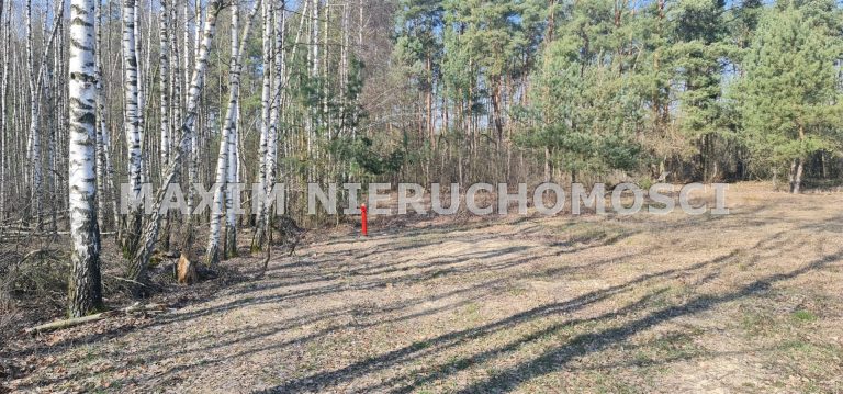 integracja@maxim-nieruchomosci.pl_zs_MXM-GS-664_9