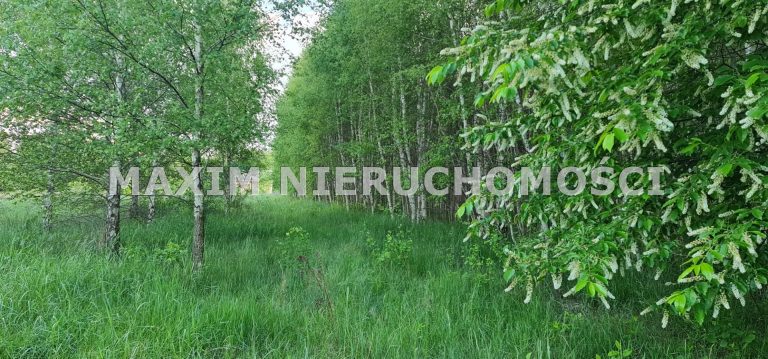 integracja@maxim-nieruchomosci.pl_zs_MXM-GS-295_7