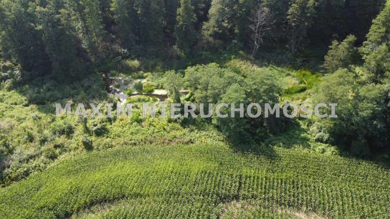 integracja@maxim-nieruchomosci.pl_zs_MXM-GS-431_5