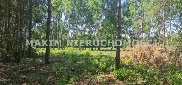 integracja@maxim-nieruchomosci.pl_zs_MXM-GS-605_8