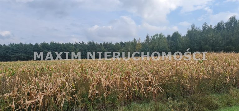 integracja@maxim-nieruchomosci.pl_zs_MXM-GS-632_8