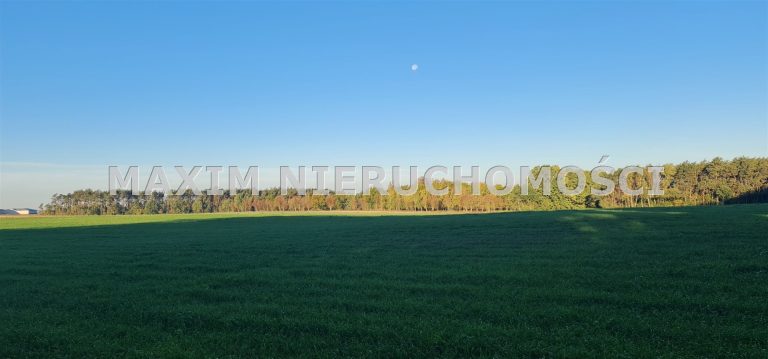 integracja@maxim-nieruchomosci.pl_zs_MXM-GS-637_8