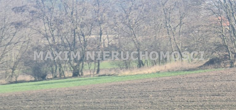 integracja@maxim-nieruchomosci.pl_zs_MXM-GS-662_7