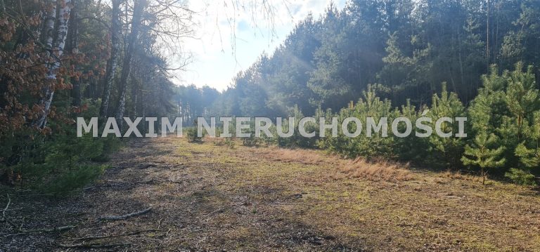 integracja@maxim-nieruchomosci.pl_zs_MXM-GS-663_5