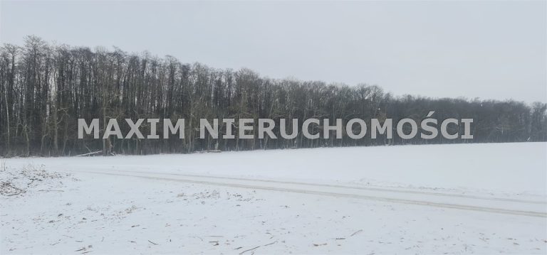 integracja@maxim-nieruchomosci.pl_zs_MXM-GS-732_4