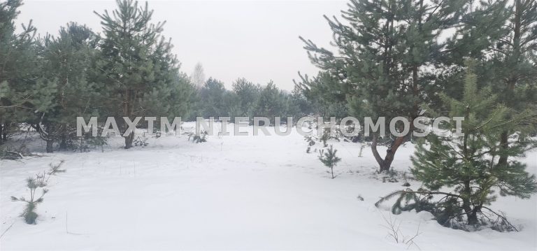 integracja@maxim-nieruchomosci.pl_zs_MXM-GS-735_5