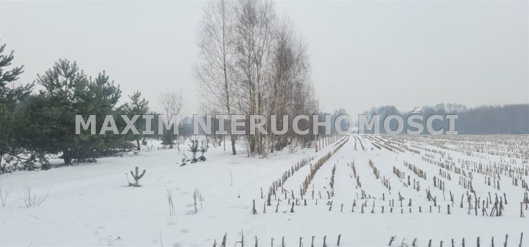 integracja@maxim-nieruchomosci.pl_zs_MXM-GS-735_8