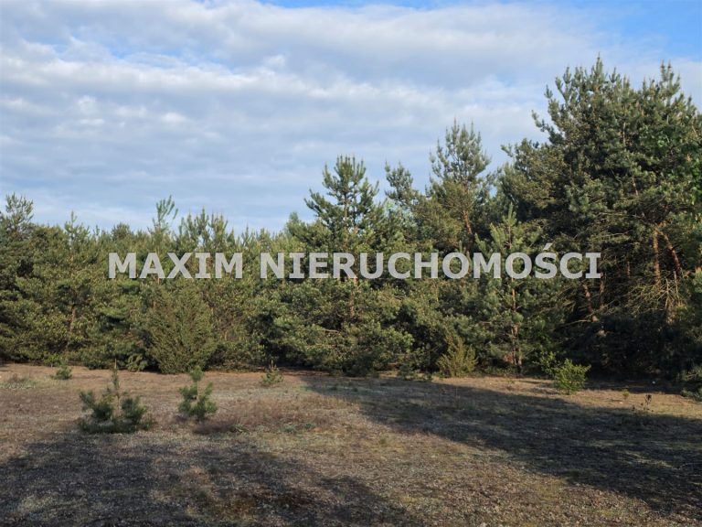 integracja@maxim-nieruchomosci.pl_zs_MXM-GS-765_4