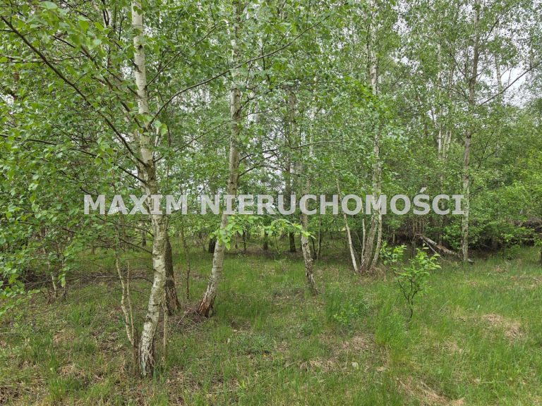 integracja@maxim-nieruchomosci.pl_zs_MXM-GS-766-1_6