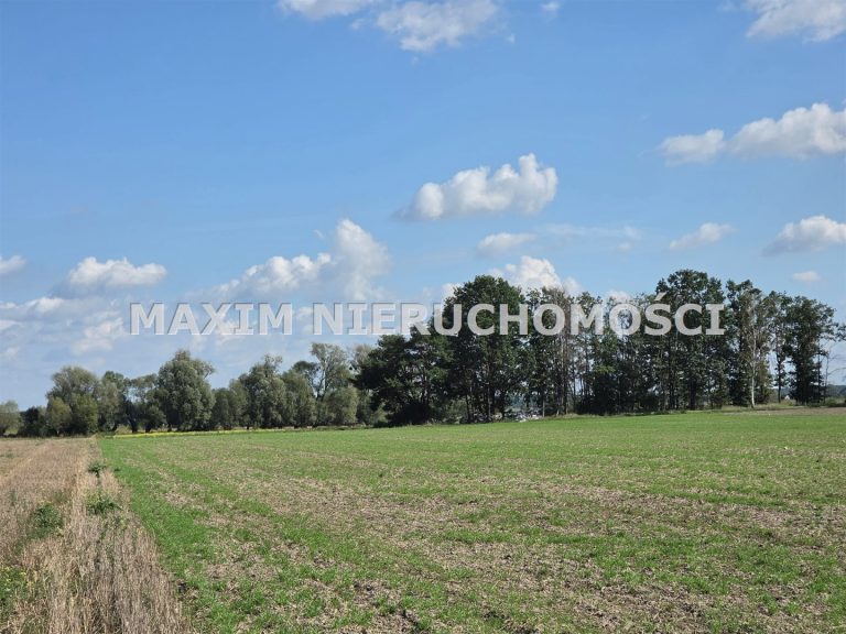 integracja@maxim-nieruchomosci.pl_zs_MXM-GS-815_10