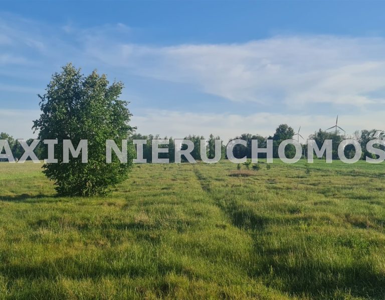 integracja@maxim-nieruchomosci.pl_zs_MXM-GS-595_1.jpg