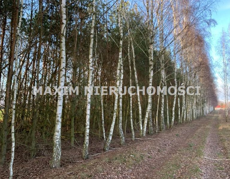 integracja@maxim-nieruchomosci.pl_zs_MXM-GS-652_1.jpg