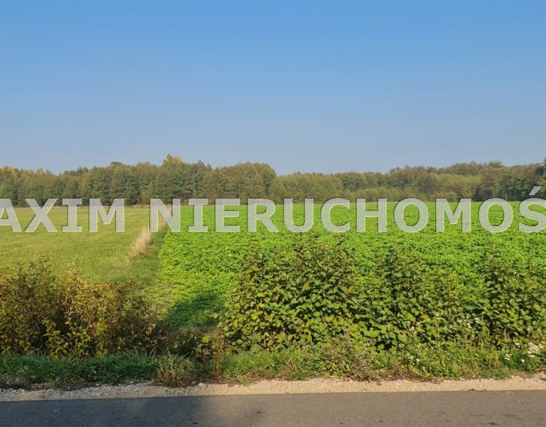 integracja@maxim-nieruchomosci.pl_zs_MXM-GS-659_1.jpg
