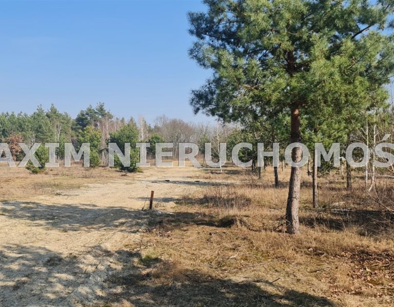 integracja@maxim-nieruchomosci.pl_zs_MXM-GS-664_1.jpg