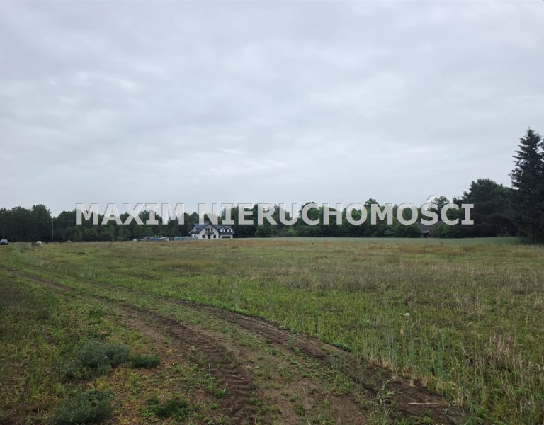integracja@maxim-nieruchomosci.pl_zs_MXM-GS-774_1.jpg