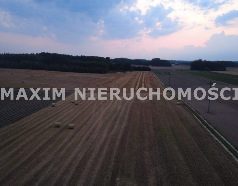 integracja@maxim-nieruchomosci.pl_zs_MXM-GS-803_1.jpg